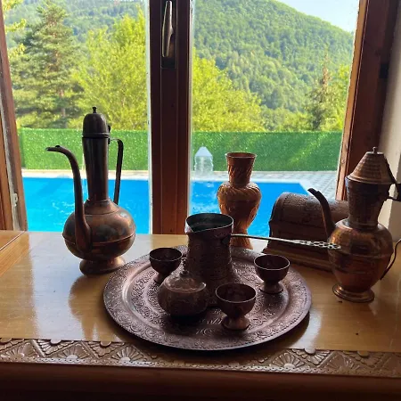 4 Star Villa