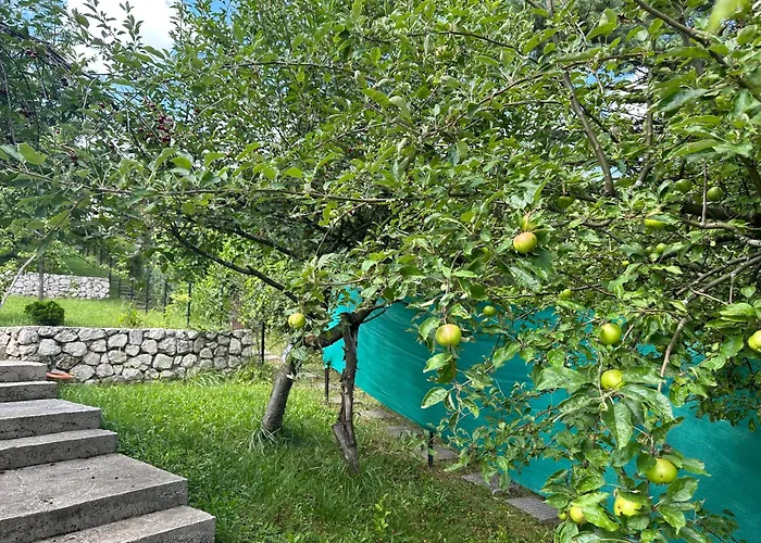 Iman 别墅 塞拉耶佛